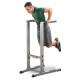 BODY-SOLID DIPS STATION GDIP59